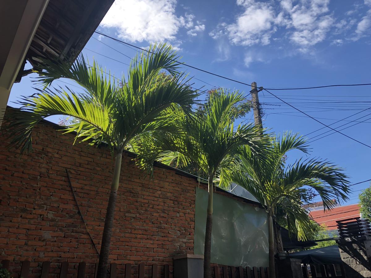 Three Palms Homestay Hoi An Exterior foto